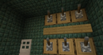 tsnc6Kb