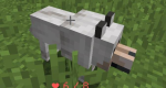 NovtUya