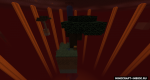fcdp9mY