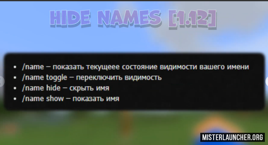 Команда чтобы скрыть Ники. Команда чтобы скрыть Ники 1.16.5. Как убрать Ники в МАЙНКРАФТЕ.
