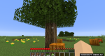 S7XRf3d