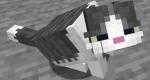LTGm1Kq