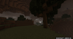 2mSnhF7