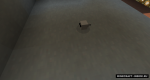 W9S0f0T