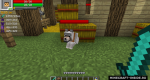 6nNNvIc