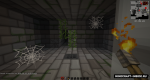 XYWZFec