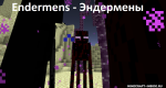 NbTJpLH