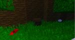 QewDd7q