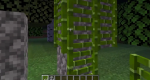 s3EtQRb