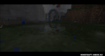 46QTumD