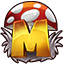 server icon