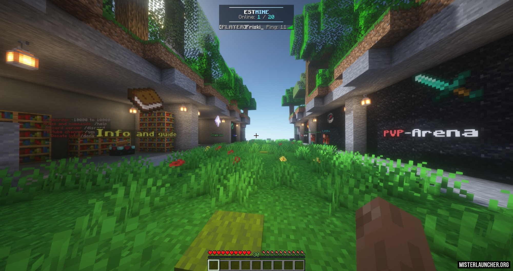 Сервер «ESTMine»